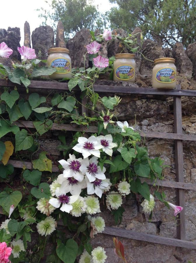 The Oak Lodge, Clematis Cottages, Stamford Eksteriør bilde